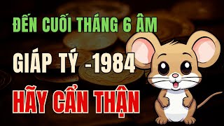 Tử vi tuổi Giáp Tý 1984, Từ giờ đến cuối tháng 6 âm lịch. Vận trình chi tiết ra sao ?