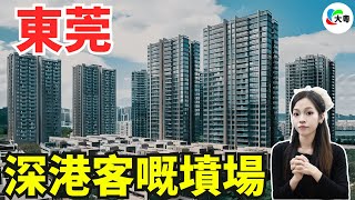 避雷！東莞樓市：兩大巨坑板塊，堅決唔掂！曾被奉為深港炒房客天堂，而家成“鬼城”！蝕得死嘅心都有！唔好再選錯咗！