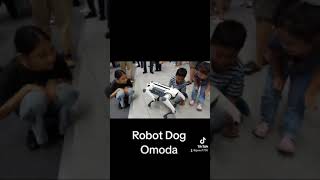 Robot Dog Omoda