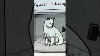 Schrödinger’s Cat Paradox #shorts