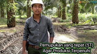 Pemupukan yang tepat (5T) Agar Produksi Terpenuhi (Bpk Agus Setio Wibowo)