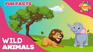 Wild Animals for Kids  : Lion, Elephant | Educational Videos for Kids