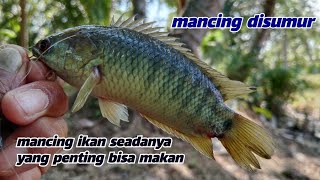 lezat sekali ikan bakar hasil mancing sendiri