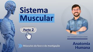 SISTEMA MUSCULAR - PARTE 2 - MÚSCULOS DA FACE E DA MASTIGAÇÃO