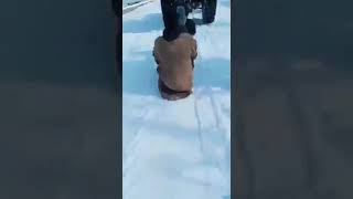 Kashmiri boys are playing and enjoying in snow