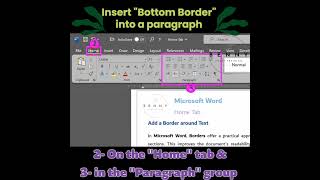 Insert the Bottom Border into a Paragraph #wordtutorial #border #paragraph