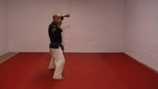 CASA DE KENPO - AMERICAN KENPO - SHORT FORM 2