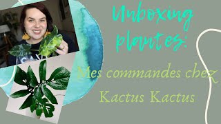 unboxing plantes : j'ai testé Kactus Kactus !