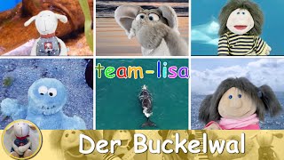 Der Buckelwal - the wellerman deutsch - Kinderlied Mitsingen - Grundschule - Sea Shanty Nathan Evans