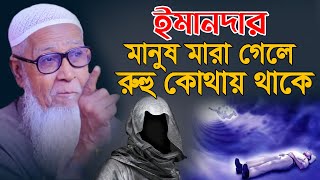 ইমানদারের রুহু কোথায় থাকে || আল্লামা লুৎফর রহমান ওয়াজ | Allama Lutfur Rahman New Waz 2024