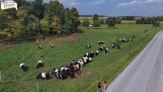 Day at the Farm - Dutch Meadows Farm - Paradise, Pennsylvania - by New Horizon Drone Photography