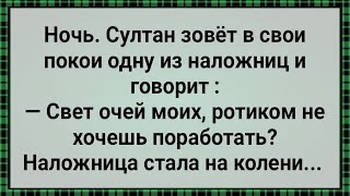 Как Наложница Султана Ублажала! Сборник Свежих Анекдотов! Юмор!