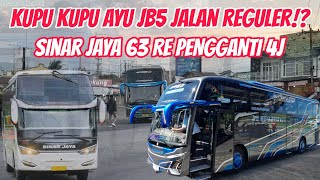 Kupu Kupu Ayu JB5 Jalan Reguler⁉️ Akhirnya Sinar Jaya 4J Diganti 63 RE ‼️