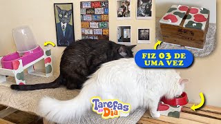 🍽️😻 Criei novos comedouros para os gatos - Tarefas Reforma 004