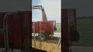 #claas #riccic #tucano560 #agriculture  #farmvlog #farmvlog