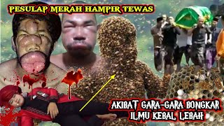 PESULAP MERAH SOK BONGKAR ILMU KEBAL TERHADAP LEBAH ‼️BEGINI JADINYA.......