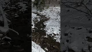 Finger lakes trail #creek #nature #winter #winterfun