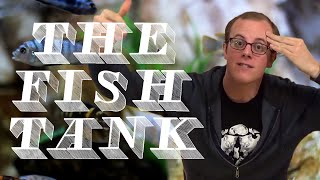 Bethesda Has Something Up Their Sleeve - The Fish Tank