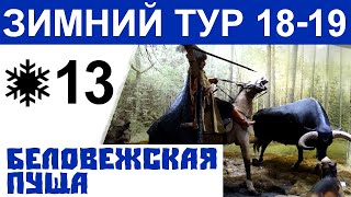 Беларусь. Зимняя Беловежская пуща – экскурсия в музей природы и вольеры. Живая природа. Зубр