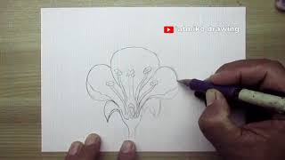 how to draw flower parts