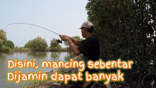 Kalau begini, mancing sebentar juga dapat banyak.