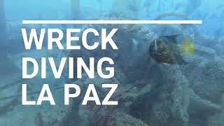 Wreck Diving Cabo San Lucas