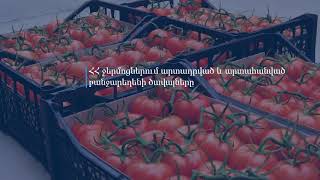 𝗛𝗶𝗴𝗵-𝘁𝗲𝗰𝗵 գյուղատնտեսությունը Հայաստանի ապագան է