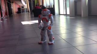 Nao présente le secteur de la Robotique