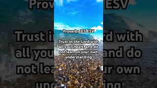 Proverbs 3:5 || Inspirational Bible Verse #shorts #bible #bibleverse #inspiration #prayer #faith