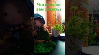 #таро что он хочет вам сказать ❓