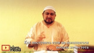 Как поступить, если на молящегося попала нечистота - шейх Зафер Ашек