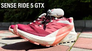 Обзор кроссовок Salomon Sense Ride 5 GTX