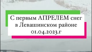 С первым АПРЕЛЕМ снег в Левашинском районе 01.04.2023.г