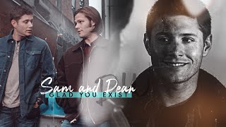 sam & dean | glad you exist.