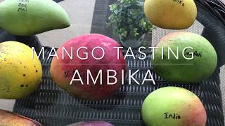 Mango Tasting - Florida Grown Ambika - Indian Mangos