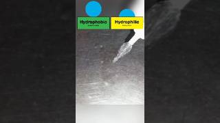 Hydrophobic effect #viral #shortsfeed #youtubeshorts #hydrophobic #h2o #water