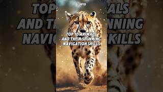 Top 10 Animals and Their Stunning Navigation Skills