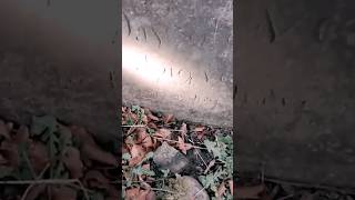 Died At 219 Years Old !! | Mistake?? #shorts