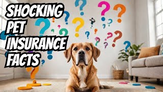 The Crazy Truth About Pet Insurance