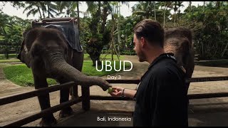 Day 3 in Bali: Yoga, feeding elephants, hiking waterfalls, and visiting small villages