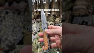 Life is Now Outdoors Pocket Knife with assist and clip #shorts #huntinggear #outdoorlife #camping