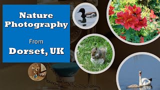 Dorset - Nature Photography: Discovering landscapes, wildlife, plants