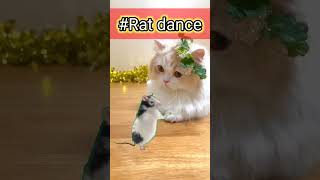 rat dance funny short #youtube