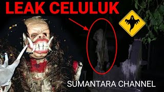 penampakan asli leak celuluk