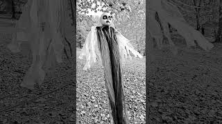 Ghoul in a Tree #halloween #samhain #halloweendecorations #halloweendecor #b&w