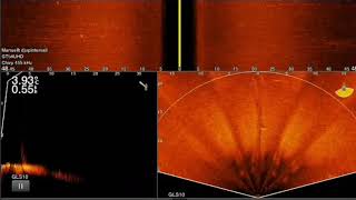 Stor gös på 9 kg fångad med hjälp av Garmin livescope perspective mode