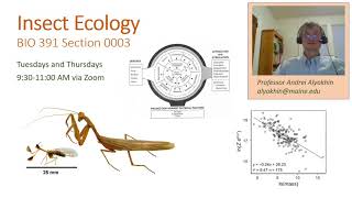 Insect Ecology 2021