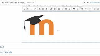 Comment insérer des images dans une page de Moodle ?