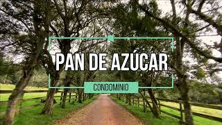 PAN DE AZUCAR, YERBABUENA - KW COLOMBIA - SANDRA SEPULVEDA