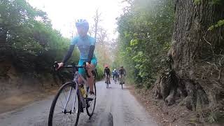 Surrey Team Ride 2 - Leith Hill